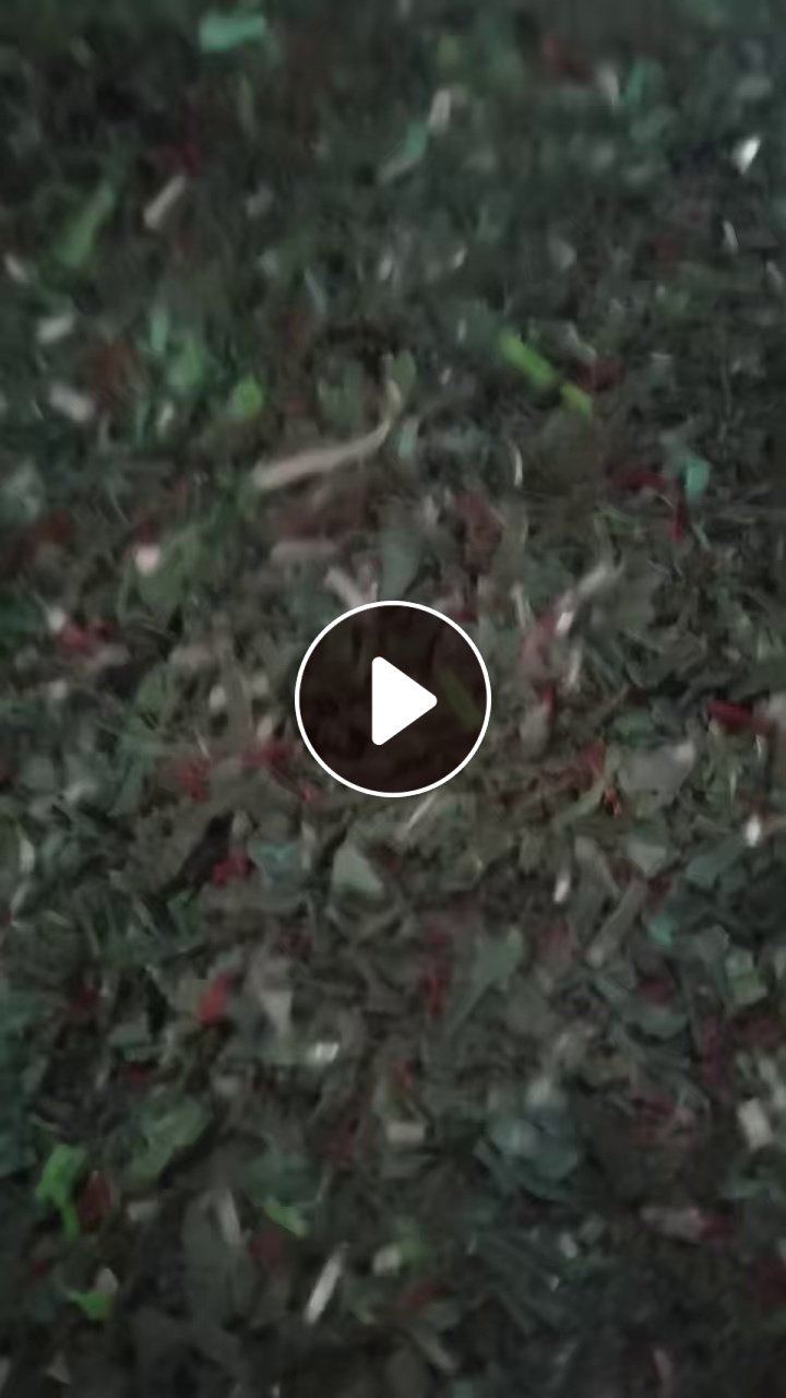 长期出售pet打包带破碎料，厂货下来的，破碎料贴片剪掉打出来的