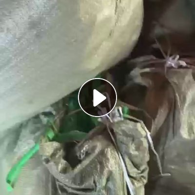 厂家处理美纹纸边角料