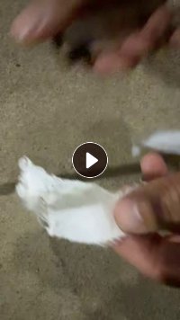 长期出售做篮球内膜里下来的涤纶气囊布边角料，气囊布边料，带胶的不带胶的都有，货在江西赣州
