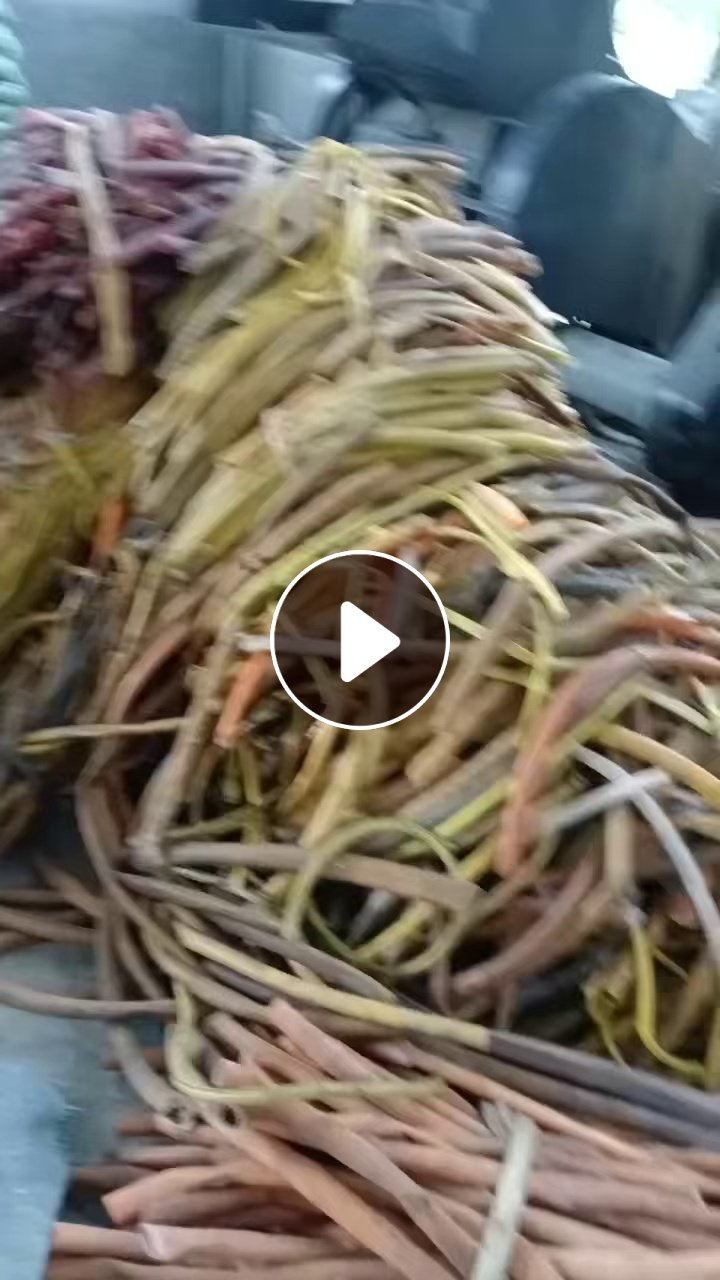 长期大量求购软质PVC蛇管毛料，PVC水管毛料，破碎用，浇水下来的，需求量几十吨，