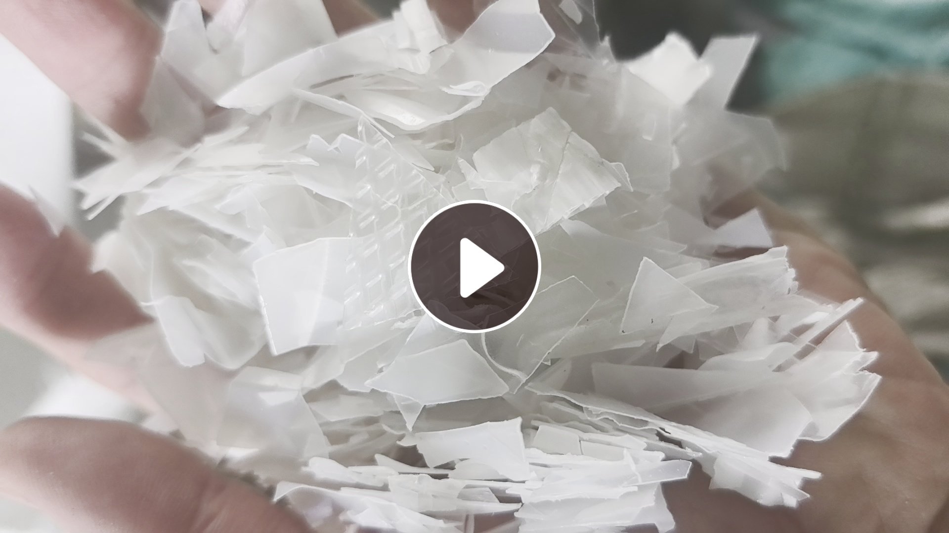 长期出售pp餐盒破碎料，冷洗，过两道水池片碱洗过