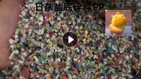 长期出售日杂盐底pp破碎料