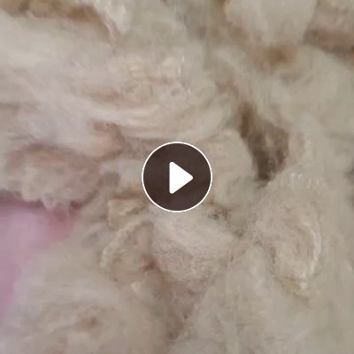 化纤厂长期出售驼色涤纶短纤，涤纶短纤维，4D*51的，在广东清远