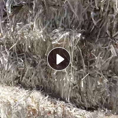 出售口杯纸膜边，白色居多，有带一点本色的，一点带镀铝