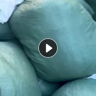 长期出售裁床下来的纯尼龙废布，锦纶废布，货在广东佛山
