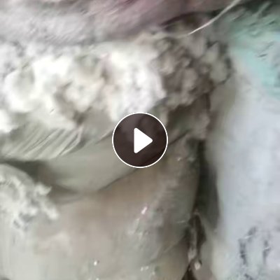长期回收羊毛废料，羊毛精熟短绒，羊毛短绒，羊毛渣子，做毛毡用，厂在河北邢台