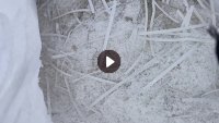 出售PVC锯末 ，每个月50吨