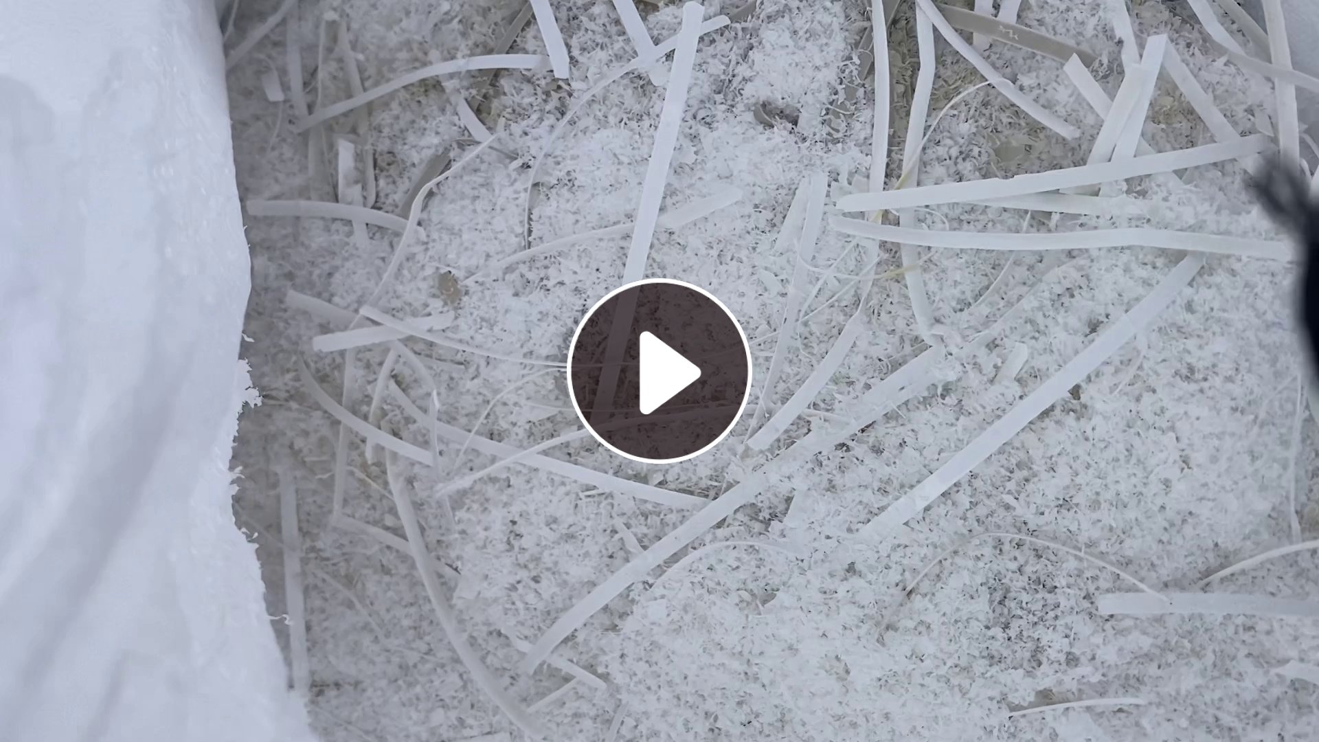 出售PVC锯末 ，每个月50吨