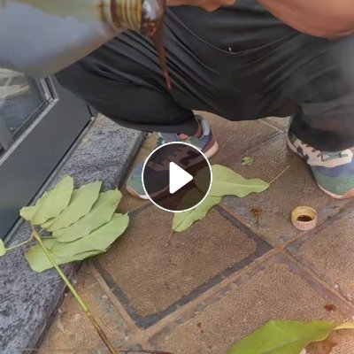 出售塑料油，现货30多吨