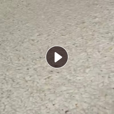 长期出售海绵颗粒，出口压缩沙发厂边角料做的，密度30，可做沙发靠背，腰包，懒人沙发，月供200吨