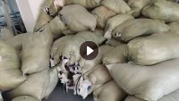 长期出售绗缝棉，丝绵下脚料，白色，黑色，灰色，还有粉色，棉服羽绒服厂下来的，货在江苏连云港