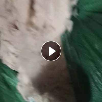 长期大量出售羊毛下脚料，羊绒下脚料，白色边丝，色边丝，盖板粗毛等都有，货在河北保定