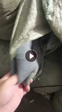 长期出收双面呢边角料，呢子边角料，货在河北保定