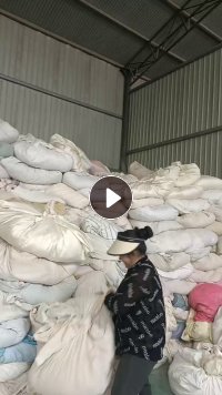 长期出售大白，现货50吨左右，部分有压包，货在甘肃张掖