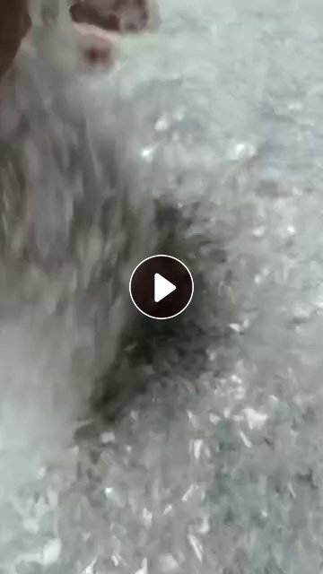 出售PET吸塑盒破碎料