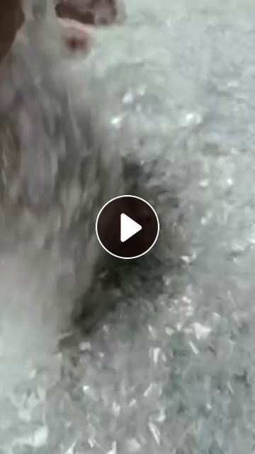 出售PET吸塑盒破碎料