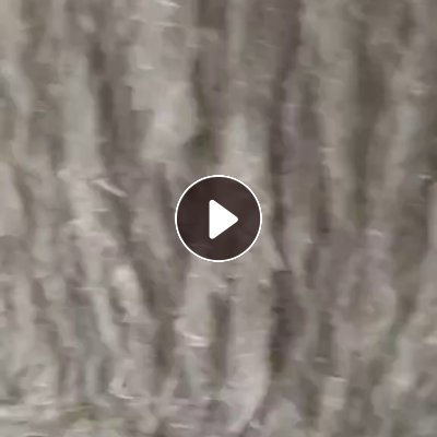 长期求购口杯纸边角料，口杯纸膜边