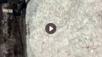 长期求购透析桶破碎料，造粒用