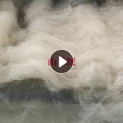 羊绒分疏厂长期出售羊绒，山羊绒，纯羊绒，货在河北邢台
