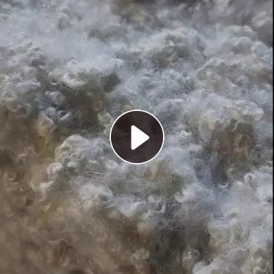 长期回收开松好的枕芯棉，开花棉，做出口用，厂在浙江义乌