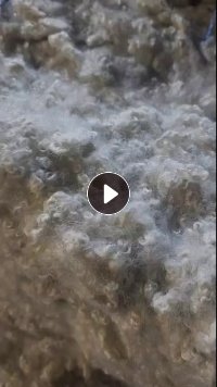长期回收开松好的枕芯棉，开花棉，做出口用，厂在浙江义乌
