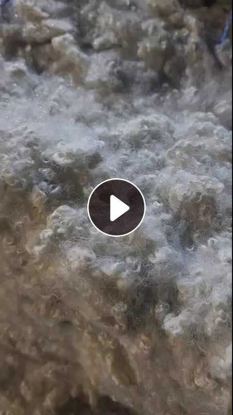 长期回收开松好的枕芯棉，开花棉，做出口用，厂在浙江义乌