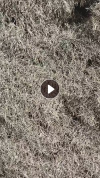 长期出售轮胎毛丝，现货2挂车