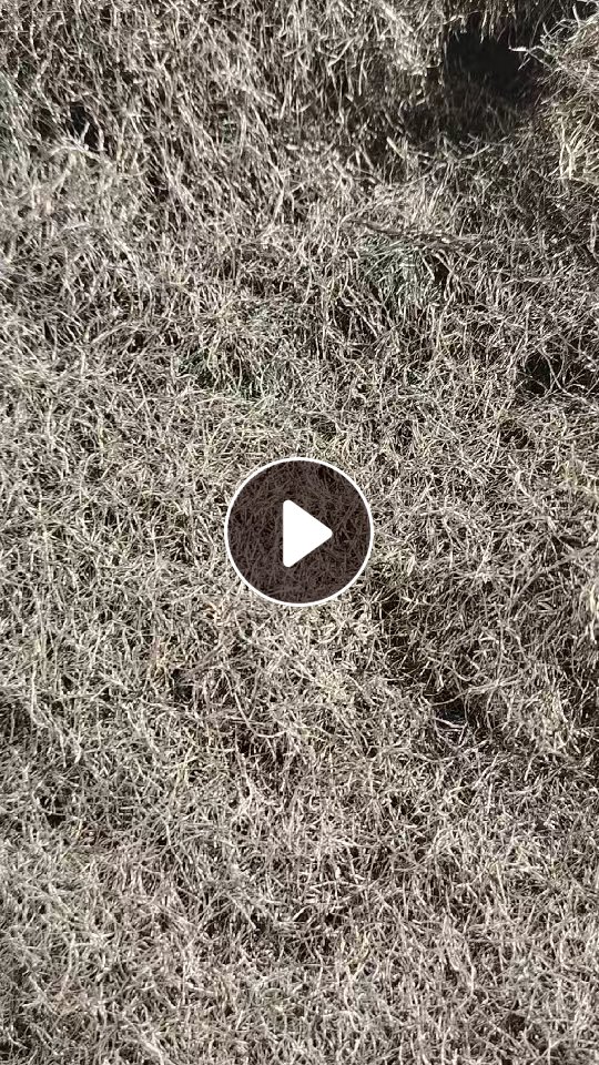 长期出售轮胎毛丝，现货2挂车