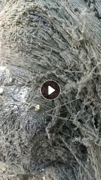 长期出售低弹丝废丝，废丝，也有整轴的加弹丝，分开卖，货在河北保定
