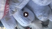 长期出售漂白氨纶废布，氨纶碎布，可以开花用，现货有30多吨，货在山东菏泽