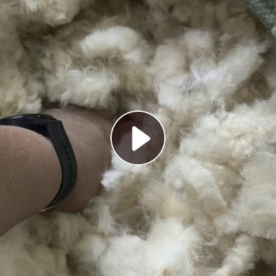 长期出售羊毛边角料，做雪地靴下来的，米色黑色最多，可以开毛用，现货8吨左右，货在河南周口
