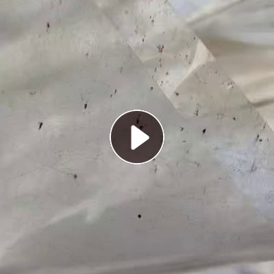 长期出售pet涂层膜废料，涂层无涂层的都有