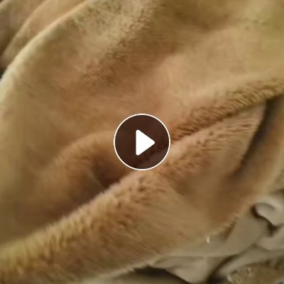 出售一批缸染单面北极绒，北极绒库存布，门幅175克重230，一个批号的，现货一百吨，在安徽毫州