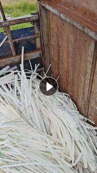 长期出售白色pe电缆皮废料