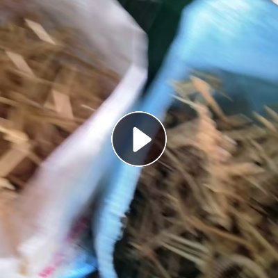 求购46尼龙废料，米黄色尼龙46树脂废料，46尼龙水口料