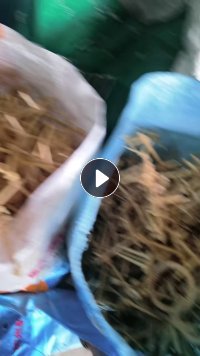 求购46尼龙废料，米黄色尼龙46树脂废料，46尼龙水口料