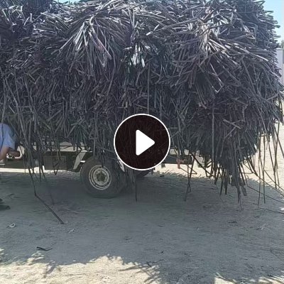 长期出售滴灌带压块料，现货一挂车