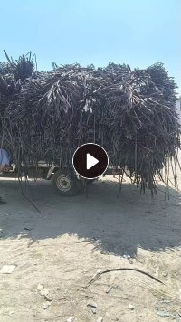 长期出售滴灌带压块料，现货一挂车