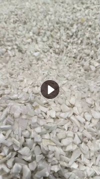 长期出售白色pp坐垫破碎料，14罗底的，现货10多吨