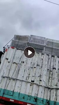 出售低压水果筐毛料，现货十几吨