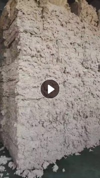 长期大量出售纺纱厂下脚料，鱼籽棉，扫地花，车肚等，厂在山东德州