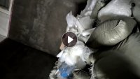 出售PET烫画膜废料，现货7-8吨