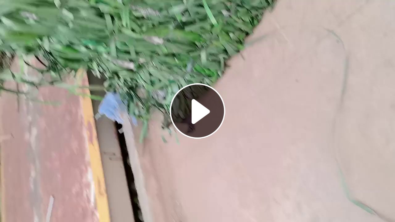 求购PET打包带毛料，聚酯打包带压块，绿色黑色都可以，月需200吨