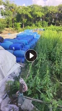 长期出售二手大蓝桶，塑料桶，125L，现货有6.8米一车，货在江苏南通