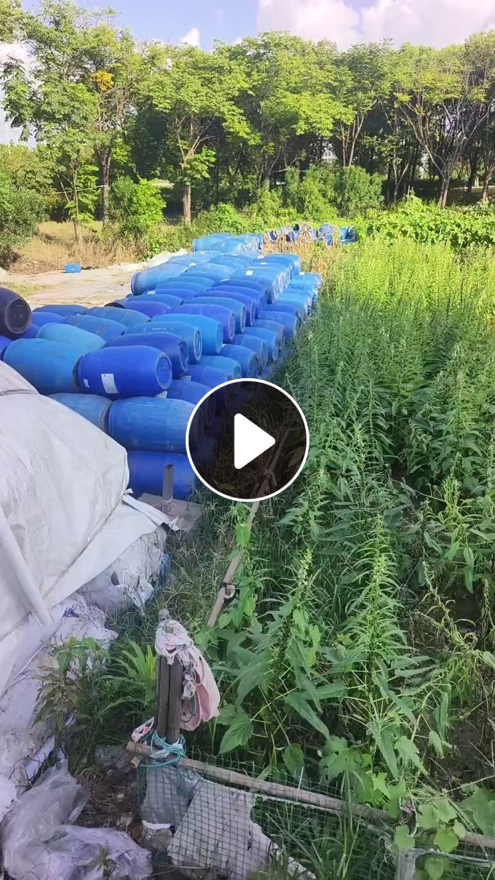 长期出售二手大蓝桶，塑料桶，125L，现货有6.8米一车，货在江苏南通