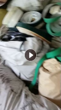 出售PVC输送带边角料，每个月20吨