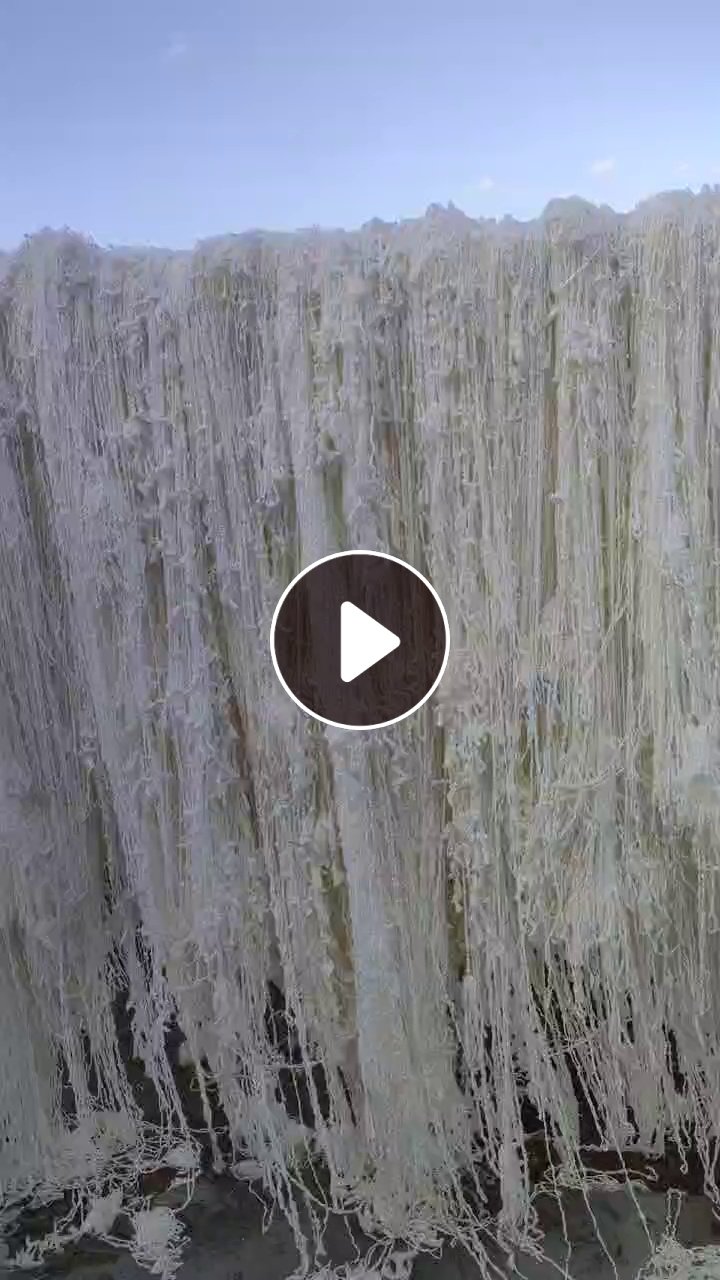 长期出售造粒用的尼龙单6麻花丝，大有光1000D，干丝和水丝都有，水丝含水量50,月供几十吨