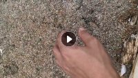 长期出售PVC商标纸磨粉转筛出来的废纸浆