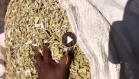 长期出售PVC纯墙板破碎料，PVC大小管破碎料，小管占比80%