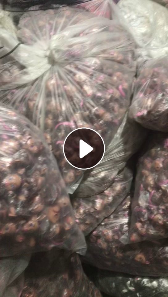 长期回收玩具厂下来的背胶做的玩具头，玩具衣服等，在广东东莞